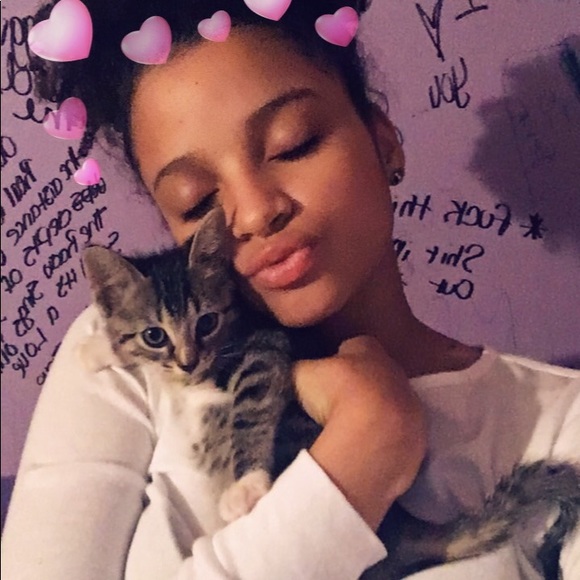 Meet your Posher, Raven - Picture 1 of 1